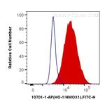 HO-1/HMOX1 Antibody in Flow Cytometry (Flow)