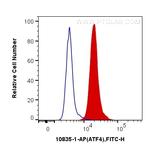 ATF4 Antibody in Flow Cytometry (Flow)