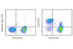 CD3e Antibody in Flow Cytometry (Flow)