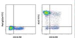 Rat IgG2a kappa Isotype Control in Flow Cytometry (Flow)