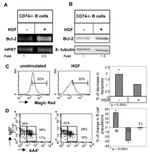 c-Met Antibody in Flow Cytometry (Flow)