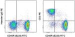 CD3e Antibody in Flow Cytometry (Flow)