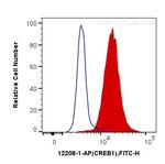 CREB1 Antibody in Flow Cytometry (Flow)