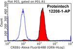 CREB1 Antibody in Flow Cytometry (Flow)