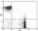 CD3e Antibody in Flow Cytometry (Flow)