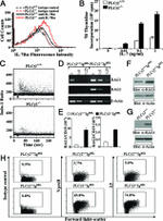 CD45R (B220) Antibody in Flow Cytometry (Flow)