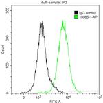 iNOS Antibody in Flow Cytometry (Flow)