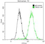 CDK1 Antibody in Flow Cytometry (Flow)