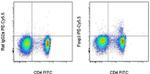 FOXP3 Antibody in Flow Cytometry (Flow)