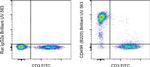 CD45R (B220) Antibody in Flow Cytometry (Flow)