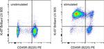 Ki-67 Antibody in Flow Cytometry (Flow)