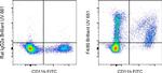 F4/80 Antibody in Flow Cytometry (Flow)