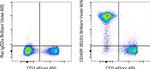 CD45R (B220) Antibody in Flow Cytometry (Flow)