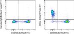 CD3e Antibody in Flow Cytometry (Flow)