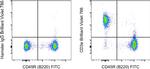 CD3e Antibody in Flow Cytometry (Flow)