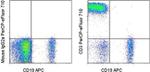 CD3 Antibody in Flow Cytometry (Flow)