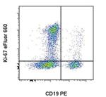 Ki-67 Antibody in Flow Cytometry (Flow)