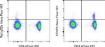 FOXP3 Antibody in Flow Cytometry (Flow)