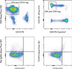 FOXP3 Antibody in Flow Cytometry (Flow)