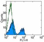 CD3e Antibody in Flow Cytometry (Flow)