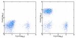 CD3 Antibody in Flow Cytometry (Flow)