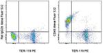 CD45 Antibody in Flow Cytometry (Flow)