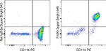 F4/80 Antibody in Flow Cytometry (Flow)