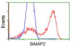 BAIAP2 Antibody in Flow Cytometry (Flow)