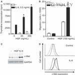 c-Met Antibody in Flow Cytometry (Flow)