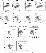 FOXP3 Antibody in Flow Cytometry (Flow)