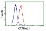 KATNAL1 Antibody in Flow Cytometry (Flow)