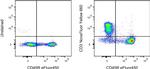 CD3e Antibody in Flow Cytometry (Flow)