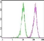 Cd16 Cd32 Monoclonal Antibody (kt1632), Biotin (ma5-18013)