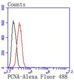 PCNA Antibody in Flow Cytometry (Flow)