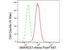 BAF57 Antibody in Flow Cytometry (Flow)