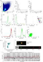 CD45 Antibody in Flow Cytometry (Flow)