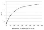 Cyclin D1 Antibody in ELISA (ELISA)