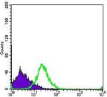 PCNA Antibody in Flow Cytometry (Flow)