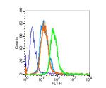 PPAR Gamma Antibody in Flow Cytometry (Flow)