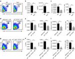 CD117 (c-Kit) Antibody in Flow Cytometry (Flow)