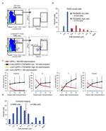 CD117 (c-Kit) Antibody in Flow Cytometry (Flow)