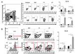 IFN gamma Antibody in Flow Cytometry (Flow)