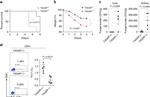 IFN gamma Antibody in Flow Cytometry (Flow)