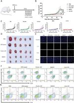 CD3e Antibody in Flow Cytometry (Flow)