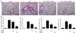 CD3 Antibody in Flow Cytometry (Flow)