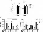 CD3 Antibody in Flow Cytometry (Flow)