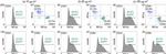 CD3 Antibody in Flow Cytometry (Flow)