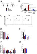 CD8a Antibody in Flow Cytometry (Flow)