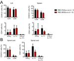 CD8a Antibody in Flow Cytometry (Flow)