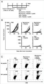 CD8a Antibody in Flow Cytometry (Flow)